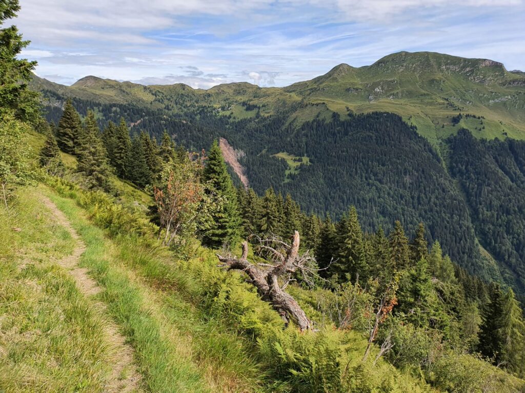 Escursionismo nelle Alpi Carniche
