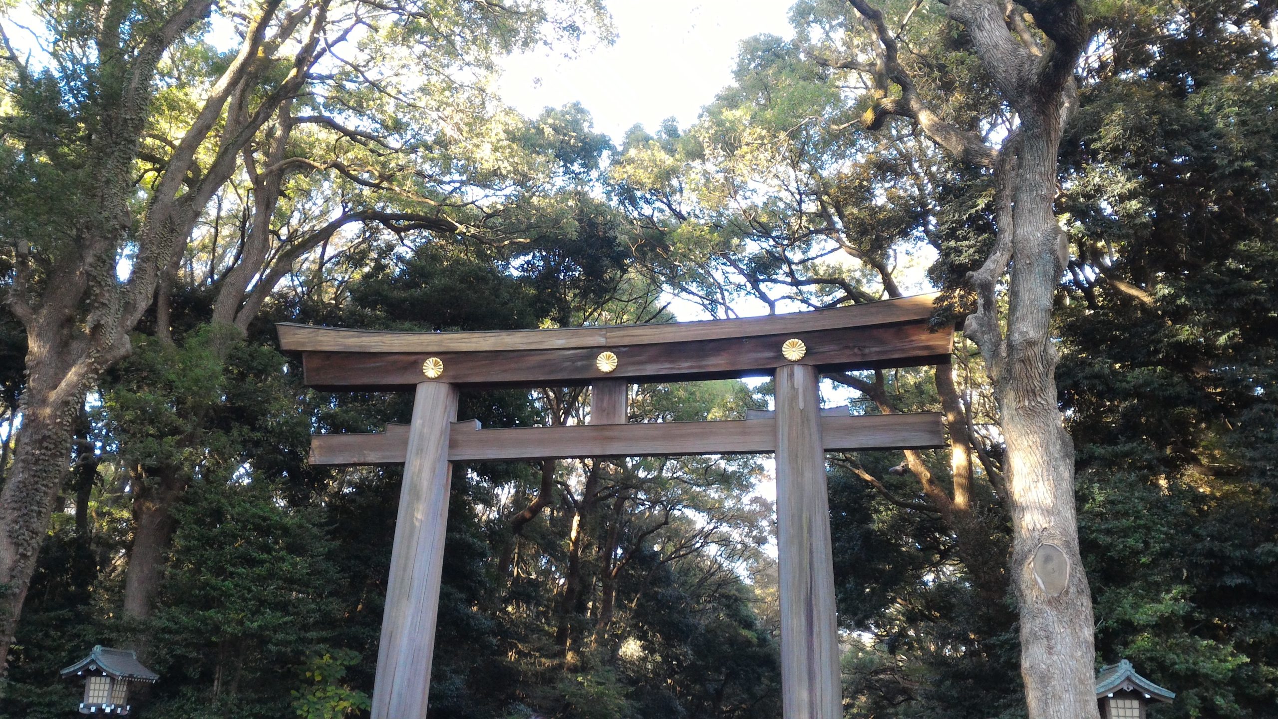 Meiji Jingu First Torii gate (foto aggynomadi)