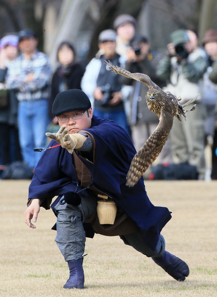 Kanazawa - un addestratore di uccelli rapaci durante uno spettacolo