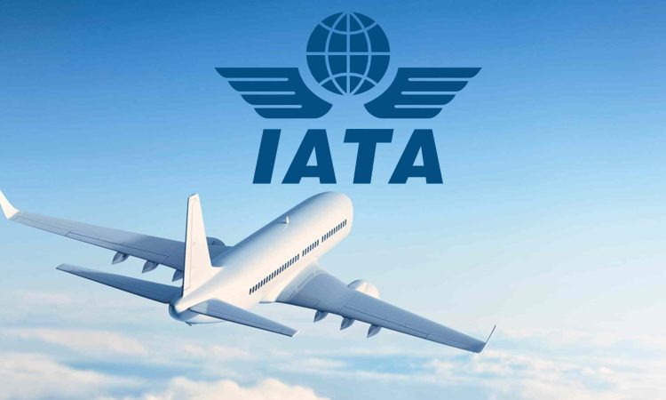 Logo IATA con Aereo