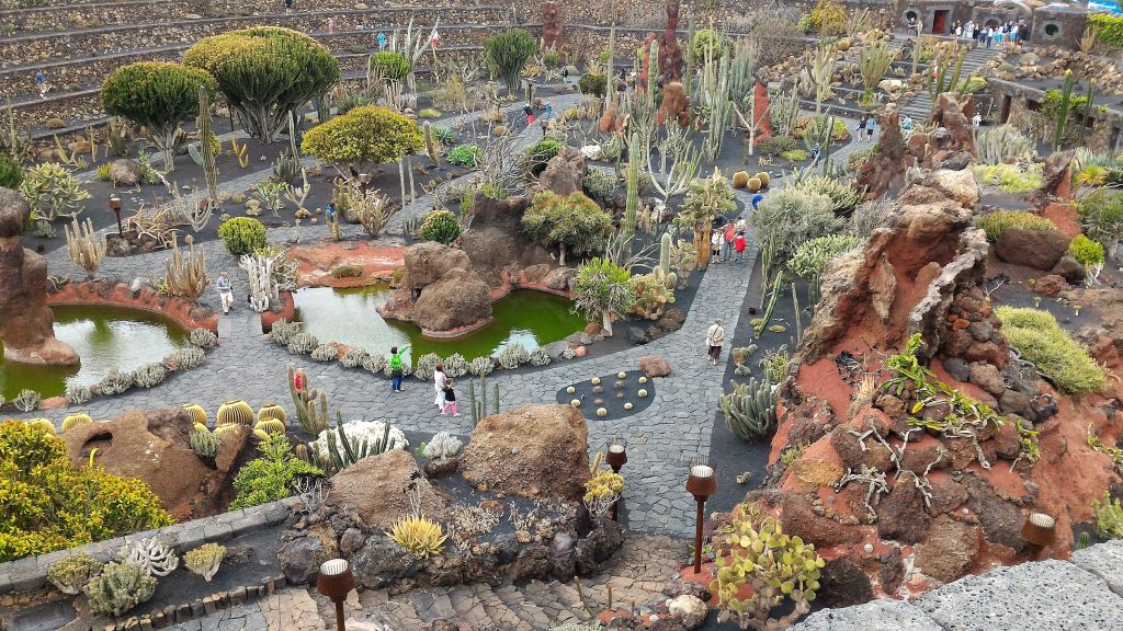 LANZAROTE (Canarie) - Jardín de Cactus