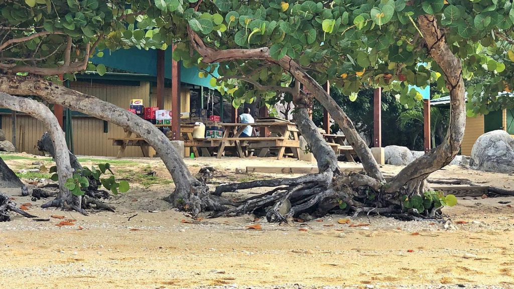 Isole Vergini Britanniche - La spiagge e il mare di Virgin Gorda 