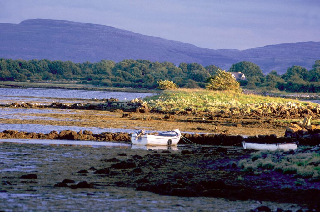 Irlanda - Kinvara, Dunguaire e Galway