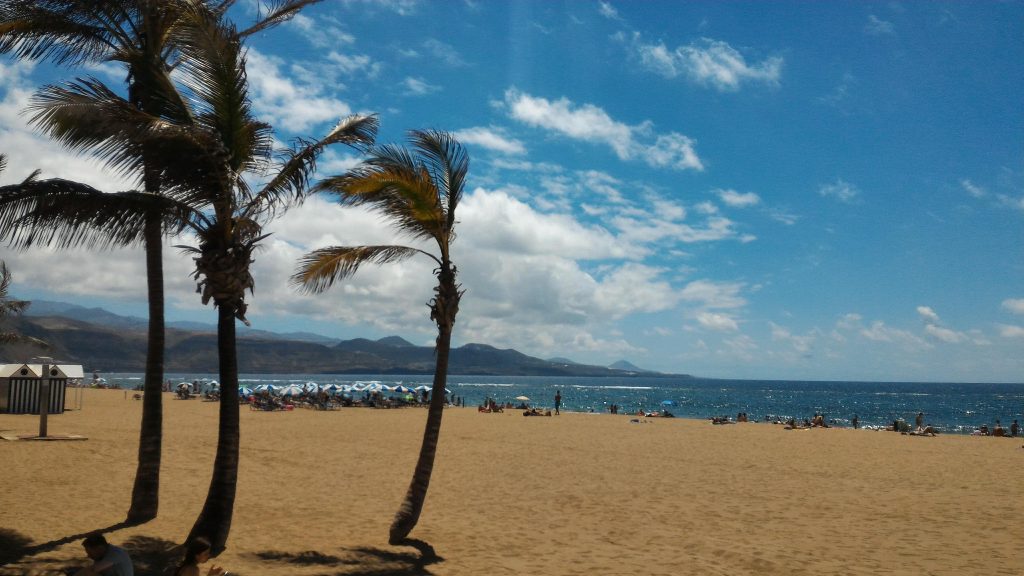 Gran Canaria - Spiaggia con palme