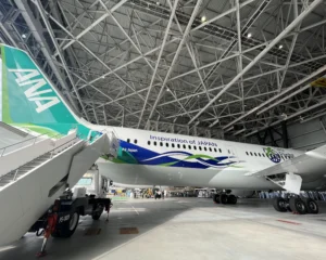 ANA Green Jet