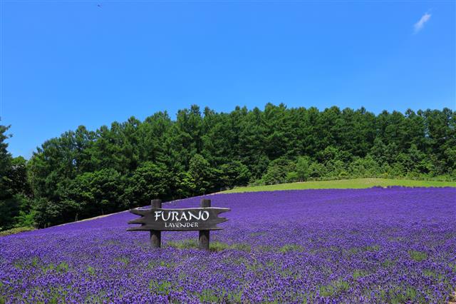 Giappone Tokapuchi 400 – Hokkaido