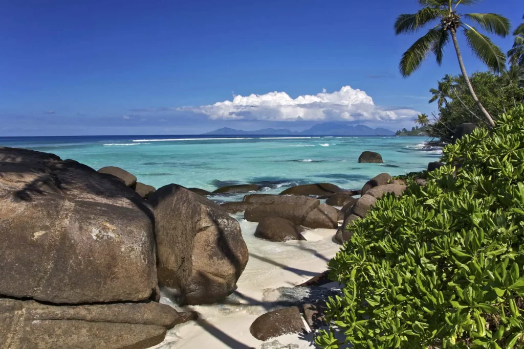 Seychelles Beach Silhouette