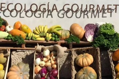 La Calabacera Ecologia Gourmet gastronomia sostenibile Barcelo