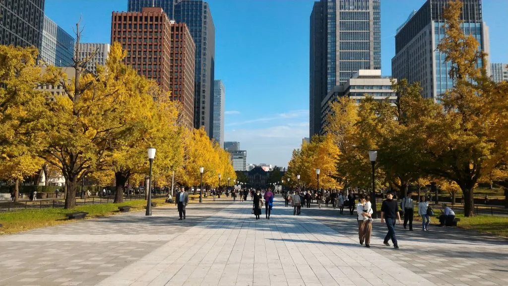 Clima in Giappone - Autunno il Foliage nei pressi della Stazione Centrale di Tokyo