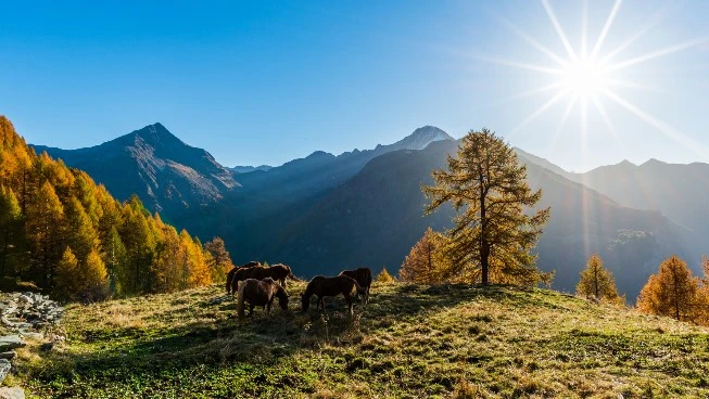 Valchiavenna